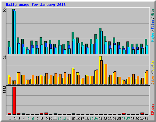 Daily usage for January 2013