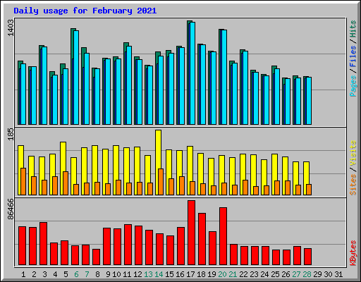 Daily usage for February 2021