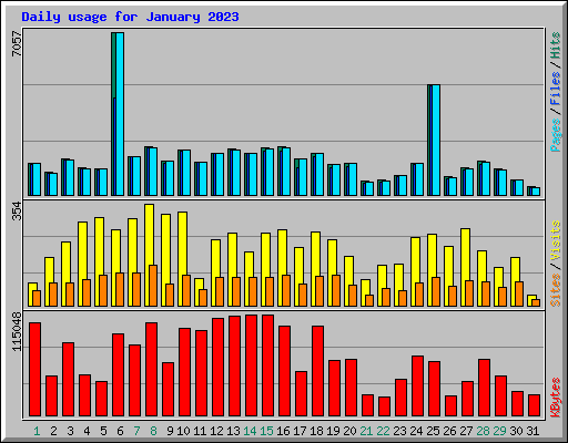 Daily usage for January 2023