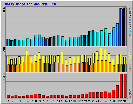 Daily usage for January 2025