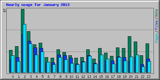 Hourly usage for January 2013