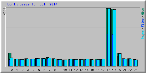 Hourly usage for July 2014