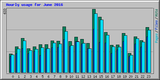 Hourly usage for June 2016