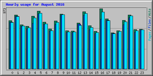 Hourly usage for August 2016
