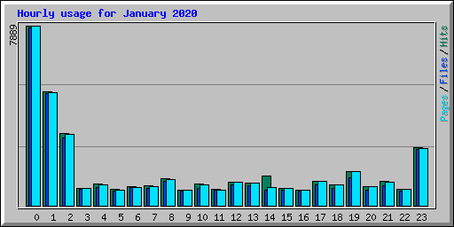 Hourly usage for January 2020