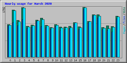 Hourly usage for March 2020