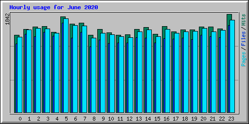 Hourly usage for June 2020