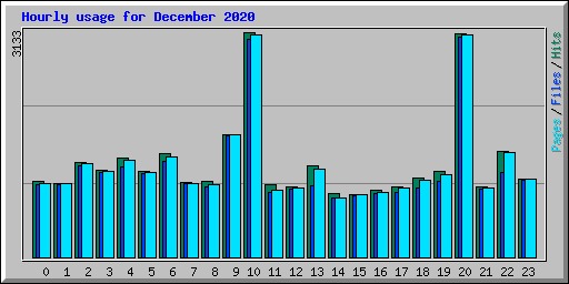 Hourly usage for December 2020