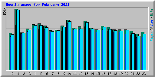 Hourly usage for February 2021