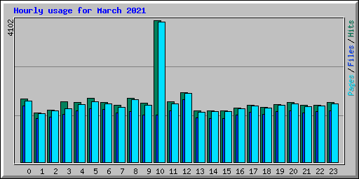 Hourly usage for March 2021