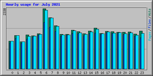 Hourly usage for July 2021