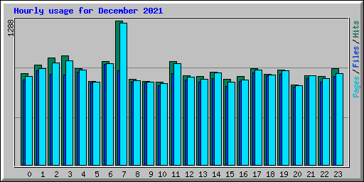 Hourly usage for December 2021