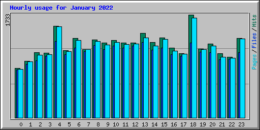 Hourly usage for January 2022