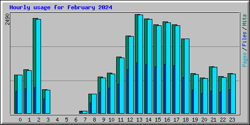 Hourly usage for February 2024