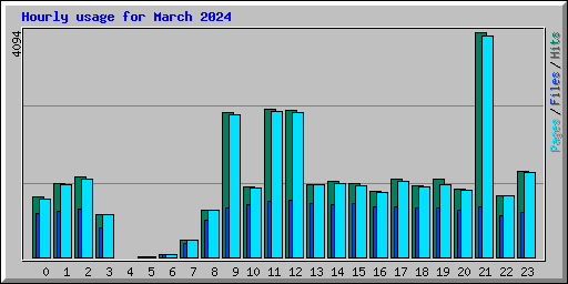 Hourly usage for March 2024