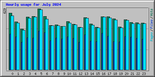 Hourly usage for July 2024