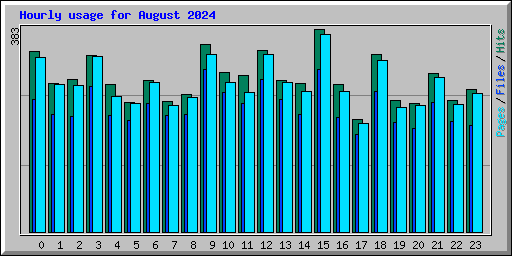 Hourly usage for August 2024