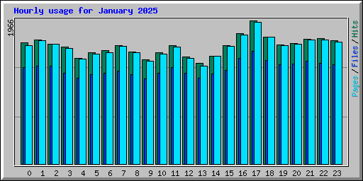 Hourly usage for January 2025