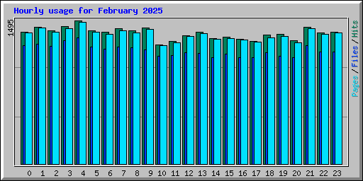 Hourly usage for February 2025
